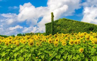 Top 10 Tips For Sustainable Housing Texas