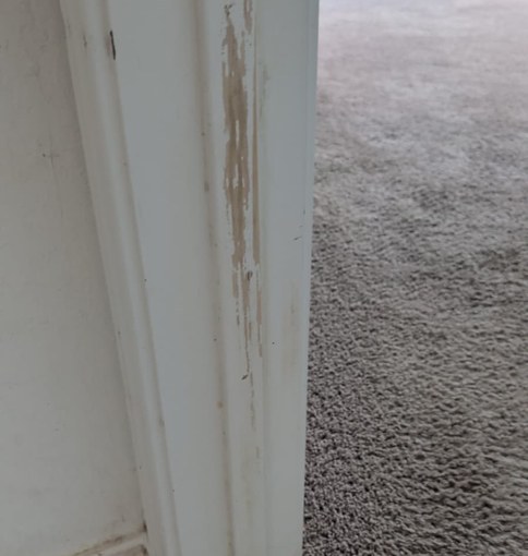 Case Study: Rental Turn, On The Market In Under A Week 5 Rental Make-Ready: Door Casing: Soiled And Scuffed